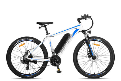 Fafrees F28 MT Mountain Electric Bike