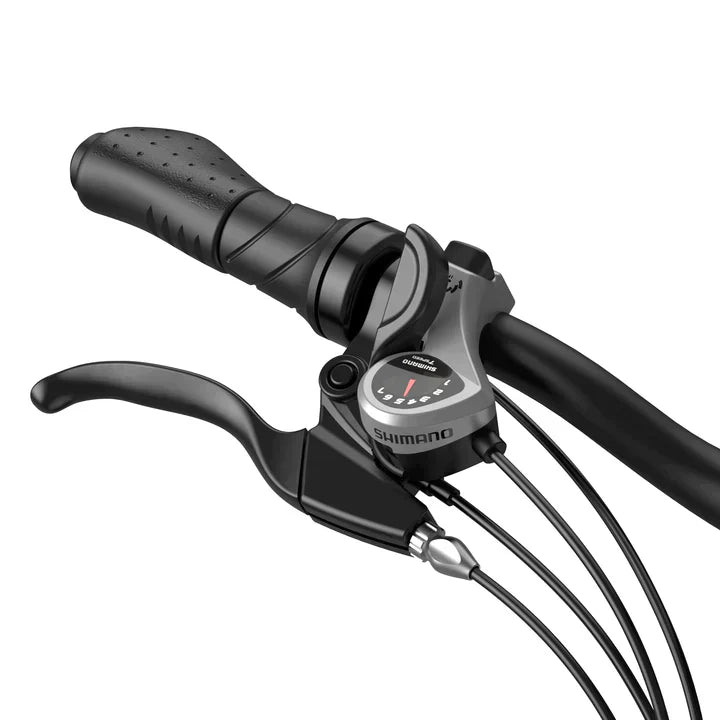 Fafrees FF20 Polar Electric Bike-UK