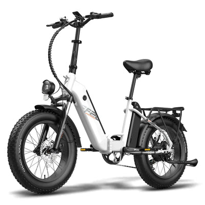 Fafrees FF20 Polar Electric Bike-UK