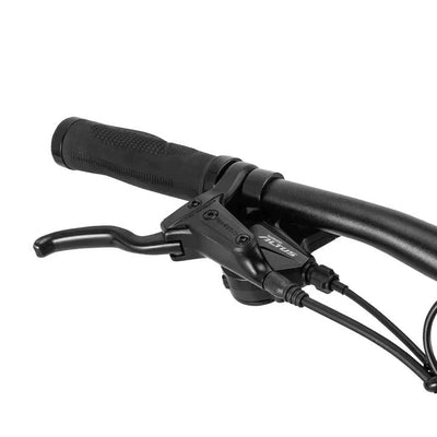 Fafrees FM8 Electric Bike