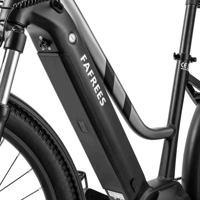 Fafrees FM8 Electric Bike