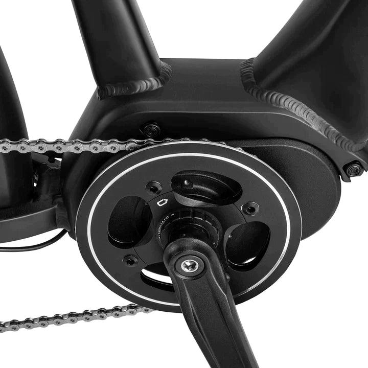 Fafrees FM8 Electric Bike