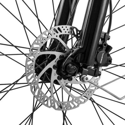 Fafrees FM8 Electric Bike