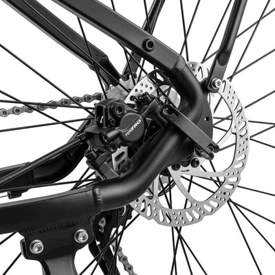 Fafrees FM8 Electric Bike