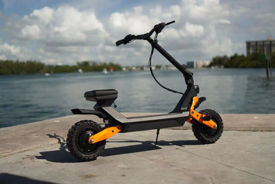 Fiido Beast Electric Scooter