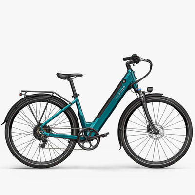 Fiido C11 city Electric Bike