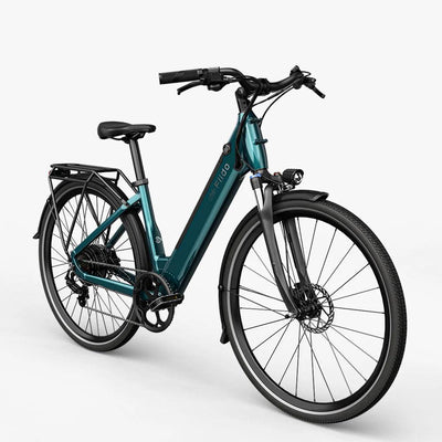 Fiido C11 city Electric Bike