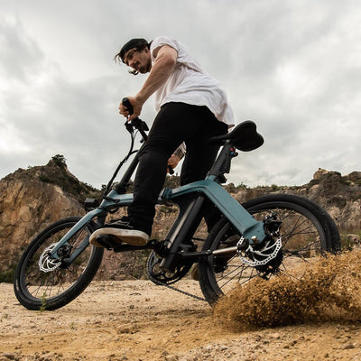 FIIDO D11 Mountain Electric Bike