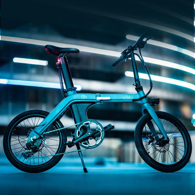 FIIDO D11 Mountain Electric Bike