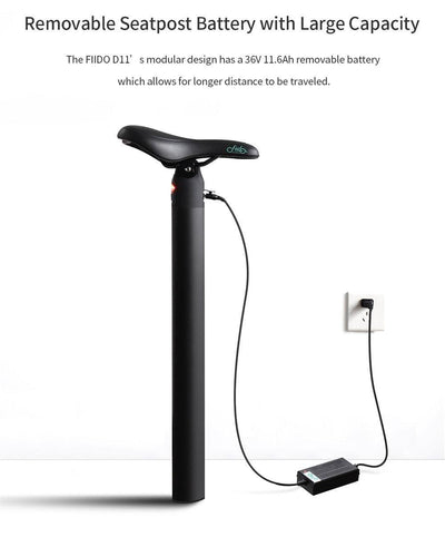 FIIDO D11 Mountain Electric Bike