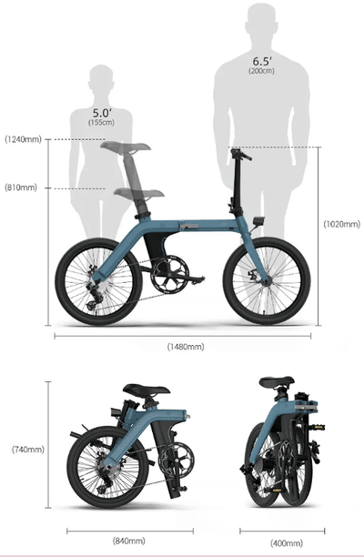 FIIDO D11 Mountain Electric Bike