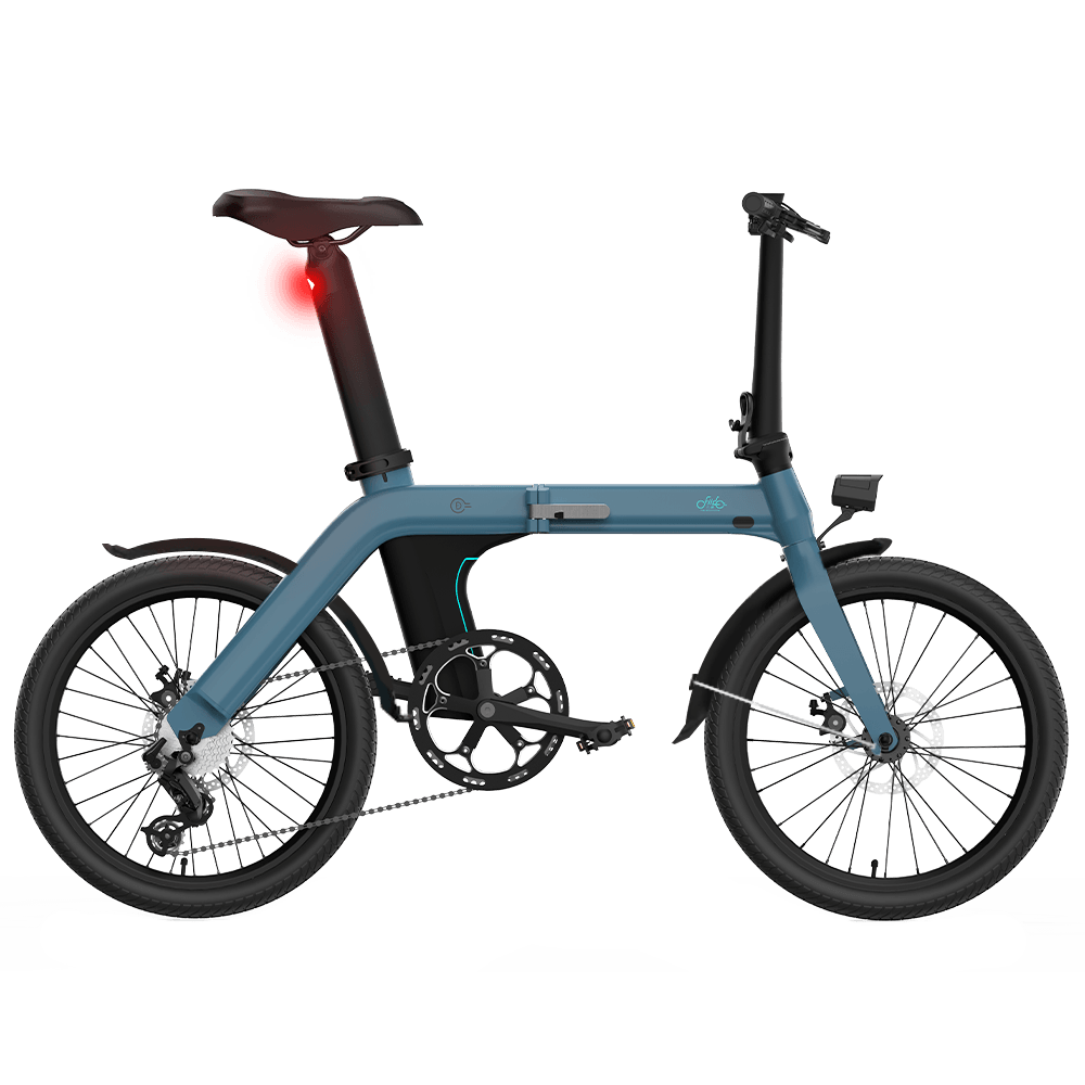 FIIDO D11 Mountain Electric Bike