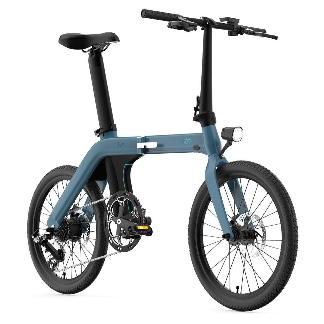 FIIDO D11 Mountain Electric Bike