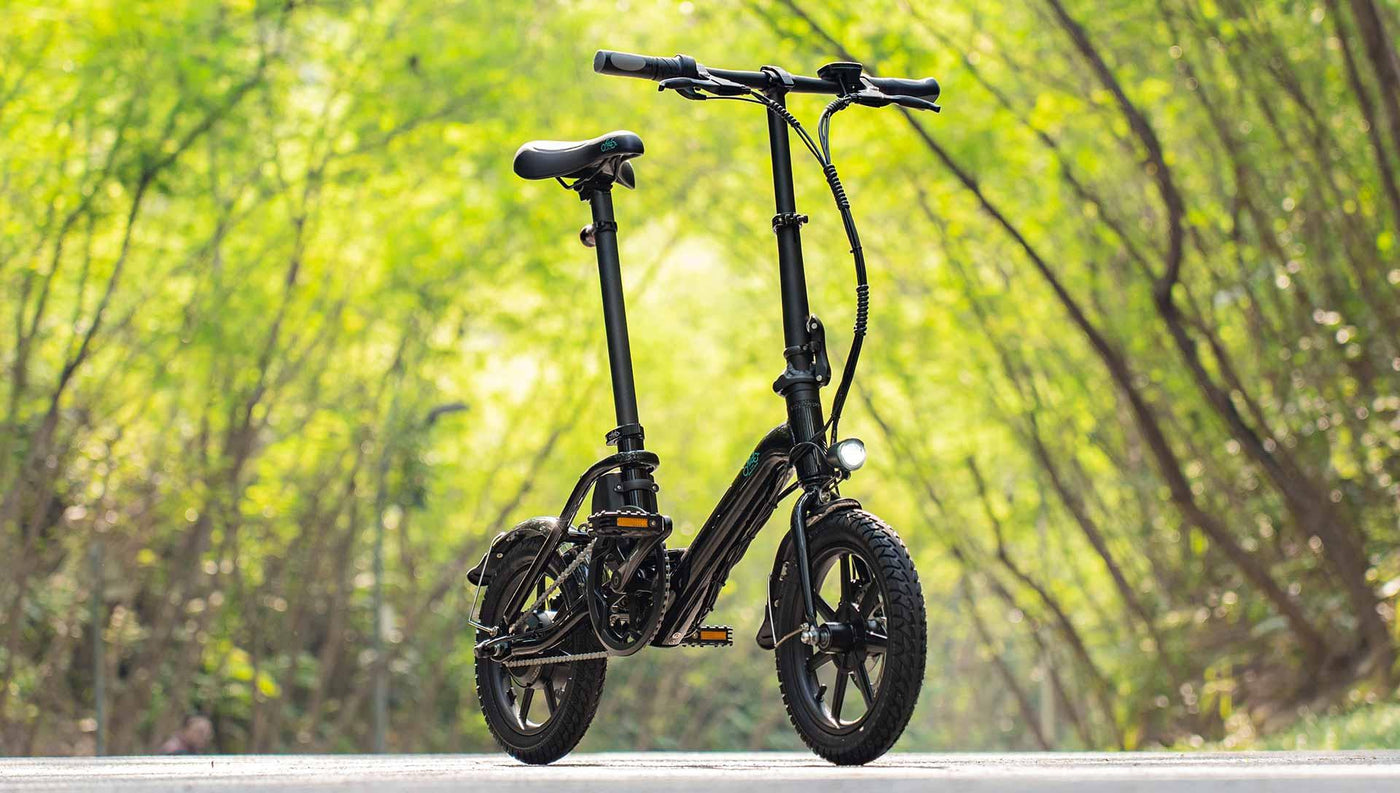 FIIDO D3 PRO Electric Bike with mudguard and light