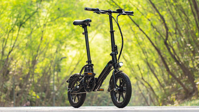 FIIDO D3 PRO Electric Bike with mudguard and light