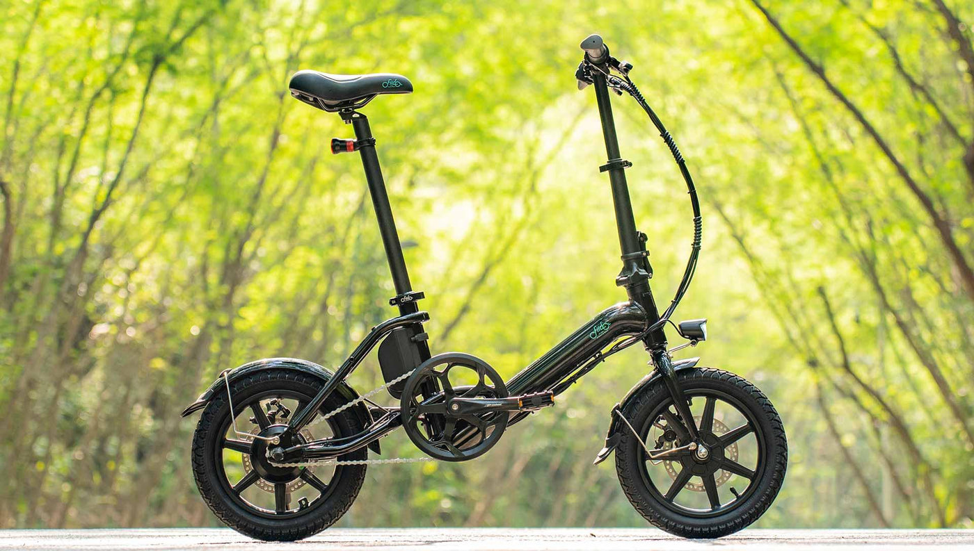 FIIDO D3 PRO Electric Bike with mudguard and light - UK