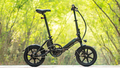 FIIDO D3 PRO Electric Bike with mudguard and light