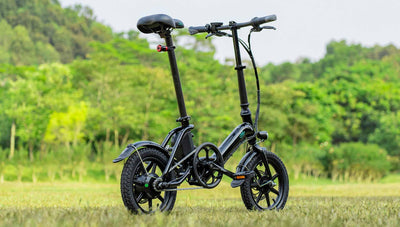FIIDO D3 PRO Electric Bike with mudguard and light