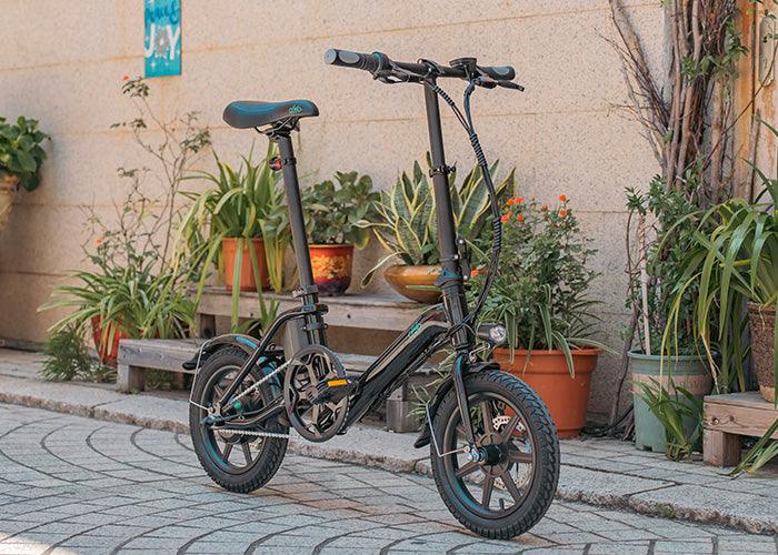 FIIDO D3 PRO Electric Bike with mudguard and light - UK
