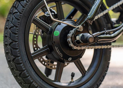 FIIDO D3 PRO Electric Bike with mudguard and light