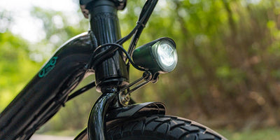 FIIDO D3 PRO Electric Bike with mudguard and light - UK