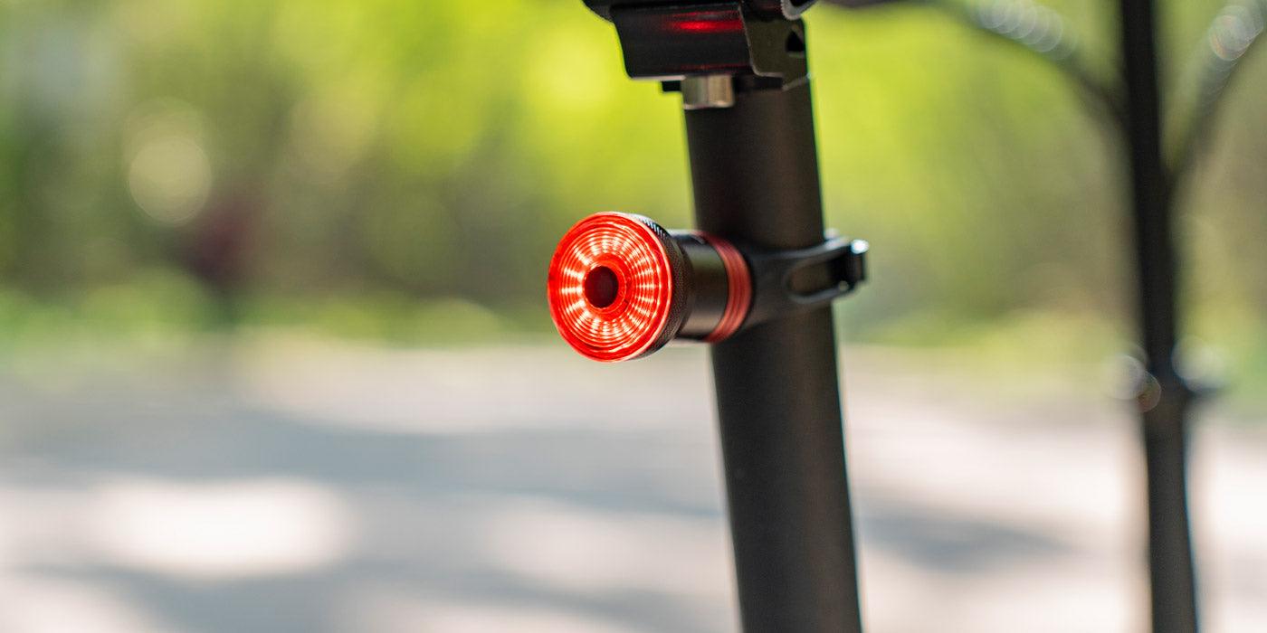 FIIDO D3 PRO Electric Bike with mudguard and light