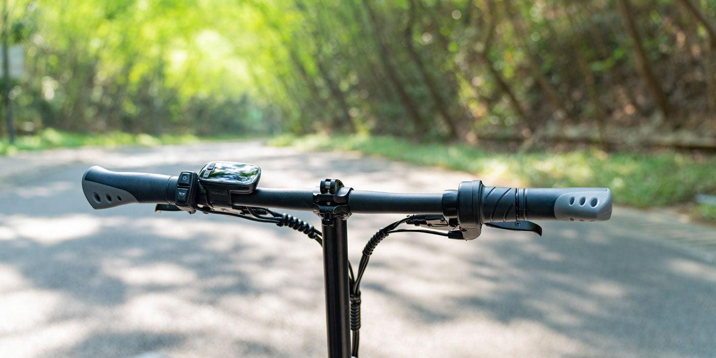 FIIDO D3 PRO Electric Bike with mudguard and light