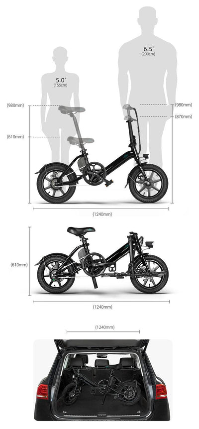 FIIDO D3 PRO Electric Bike with mudguard and light - UK
