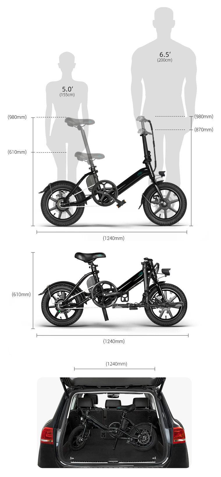 FIIDO D3 PRO Electric Bike with mudguard and light