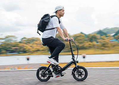 FIIDO D3 PRO Electric Bike with mudguard and light - UK