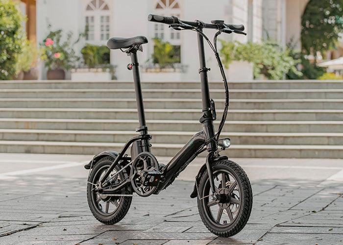 FIIDO D3 PRO Electric Bike with mudguard and light