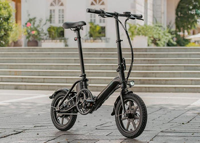FIIDO D3 PRO Electric Bike with mudguard and light