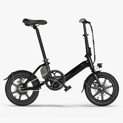 FIIDO D3 PRO Electric Bike with mudguard and light