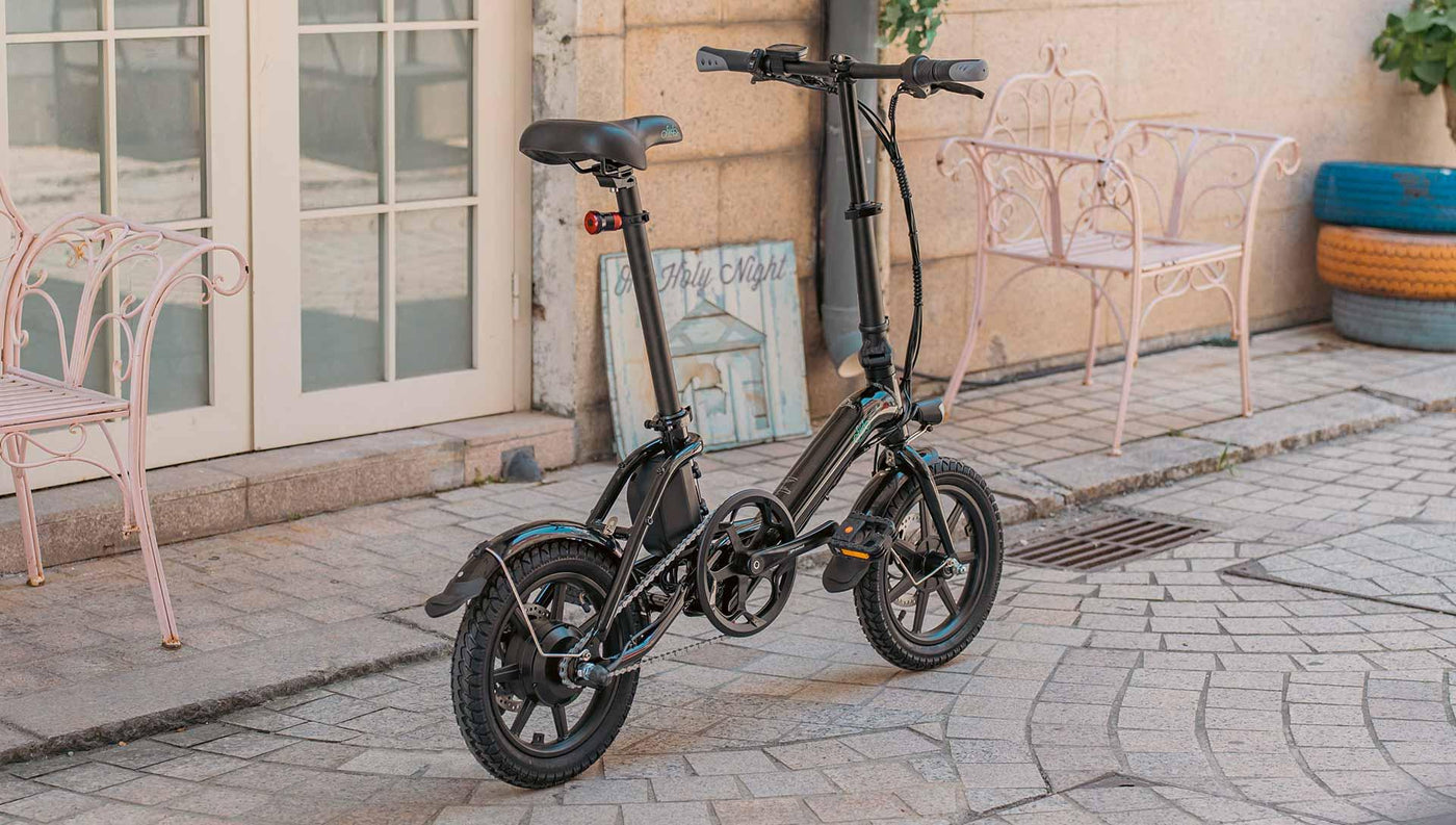 FIIDO D3 PRO Electric Bike with mudguard and light