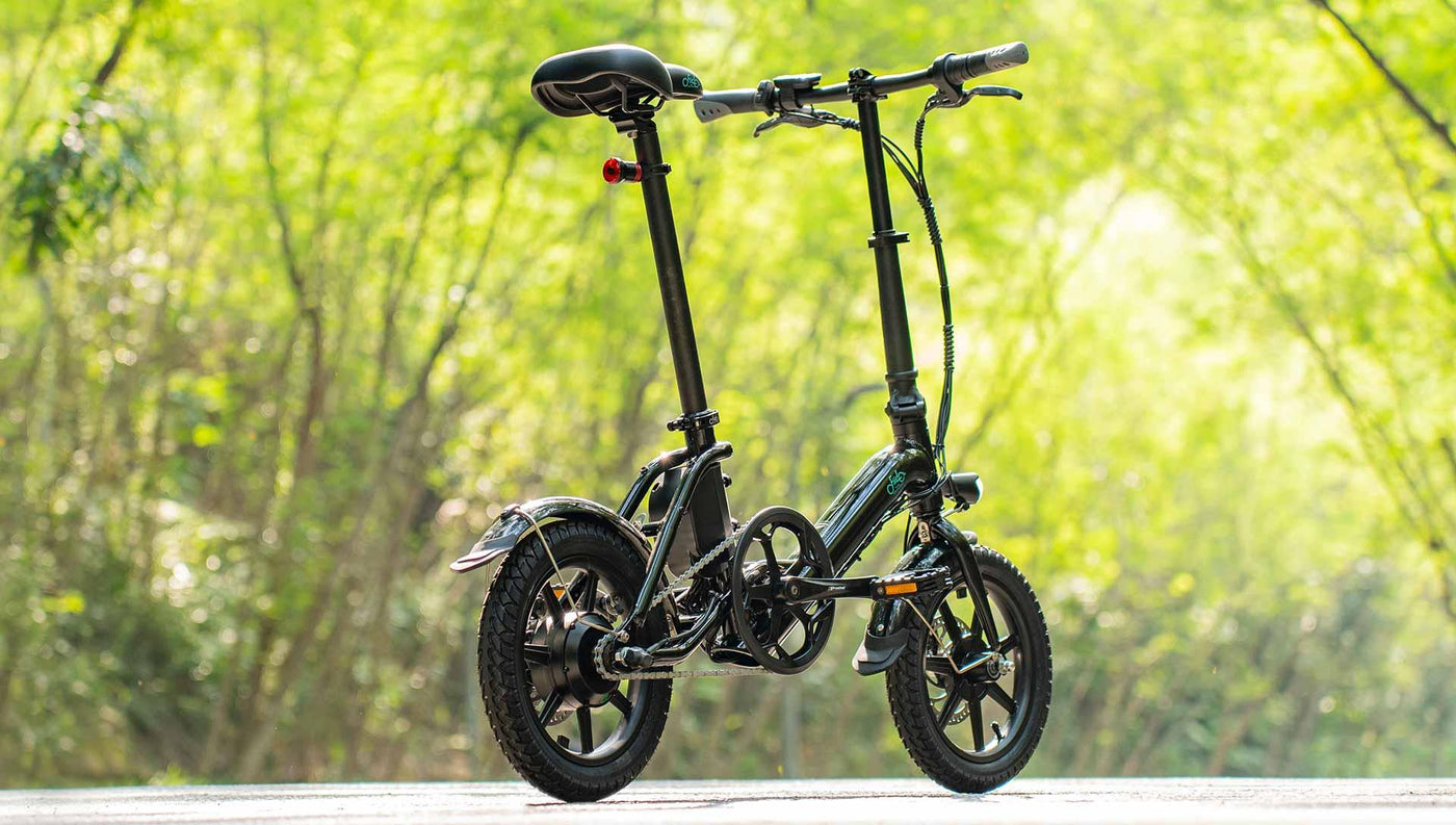 FIIDO D3 PRO Electric Bike with mudguard and light - UK