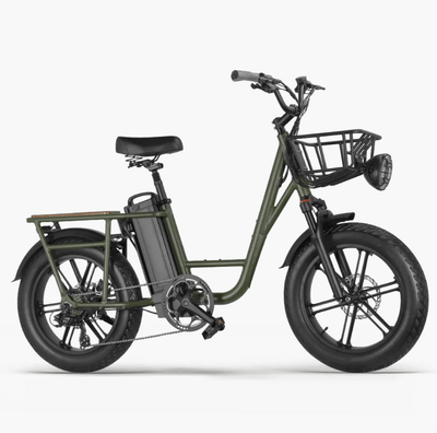 FIIDO T1 PRO Electric Cargo Bike upgraded v2 2024 edition-UK