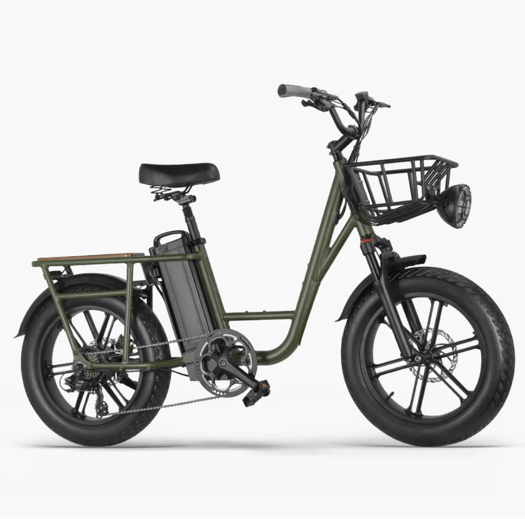 FIIDO T1 PRO Electric Cargo Bike upgraded v2 2024 edition-UK