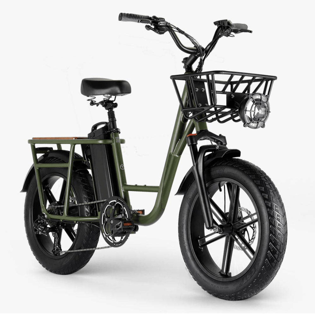 FIIDO T1 PRO Electric Cargo Bike upgraded v2 2024 edition-UK