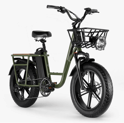 FIIDO T1 PRO Electric Cargo Bike upgraded v2 2024 edition-UK