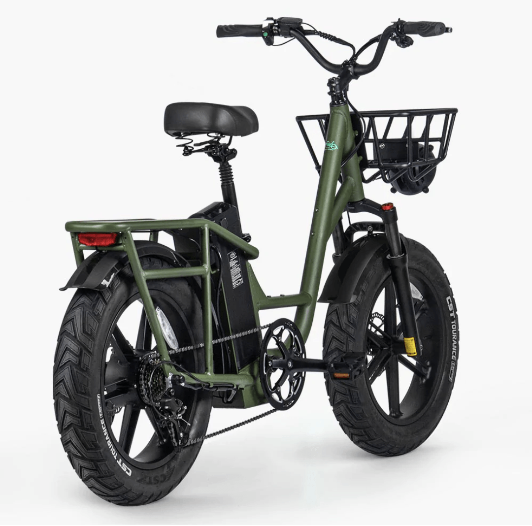 FIIDO T1 PRO Electric Cargo Bike upgraded v2 2024 edition-UK