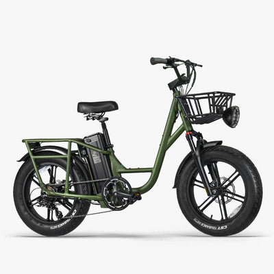 FIIDO T1 pro v2 upgraded Cargo  Electric Bike
