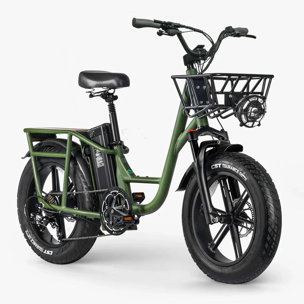 FIIDO T1 pro v2 upgraded Cargo  Electric Bike