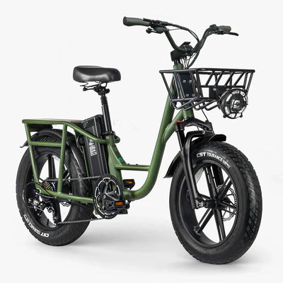 FIIDO T1 pro v2 upgraded Cargo  Electric Bike