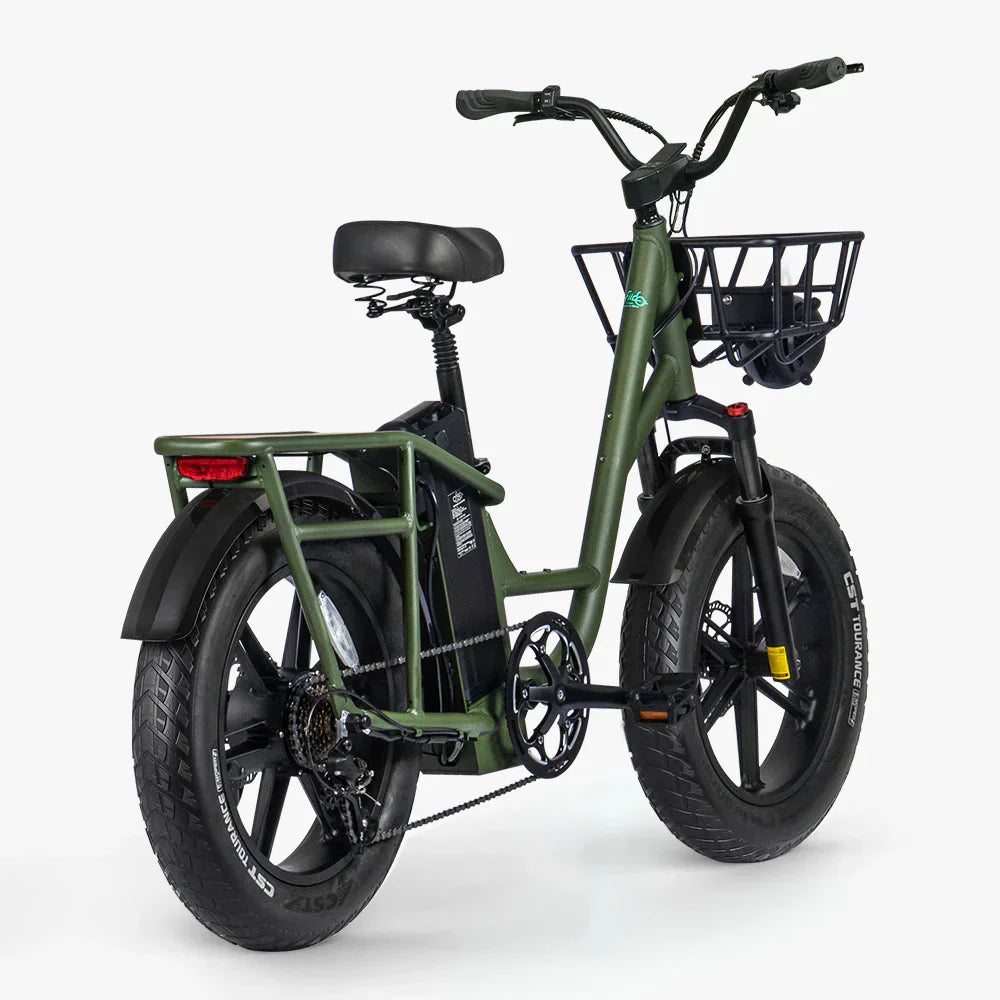 FIIDO T1 pro v2 upgraded Cargo  Electric Bike