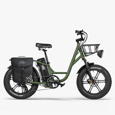 FIIDO T1 pro v2 upgraded Cargo  Electric Bike