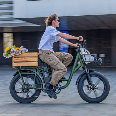 FIIDO T1 pro v2 upgraded Cargo  Electric Bike