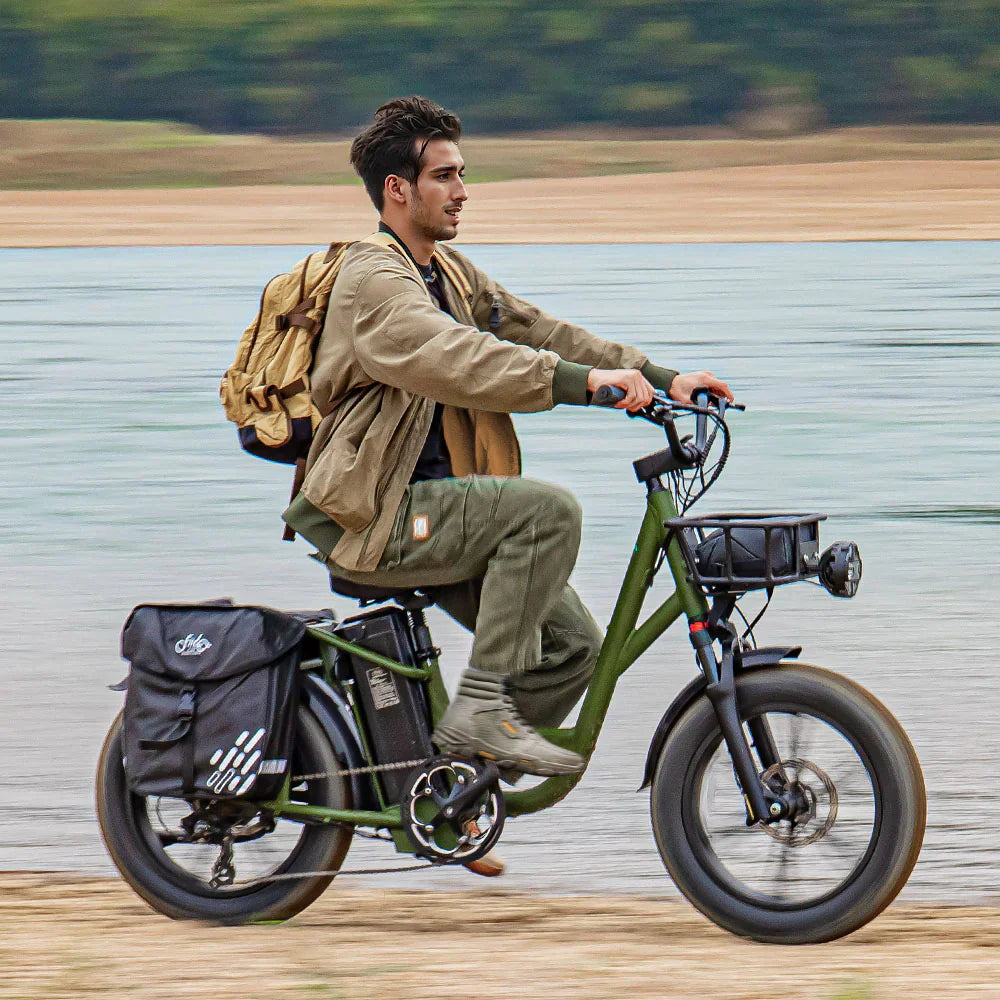 FIIDO T1 pro v2 upgraded Cargo  Electric Bike
