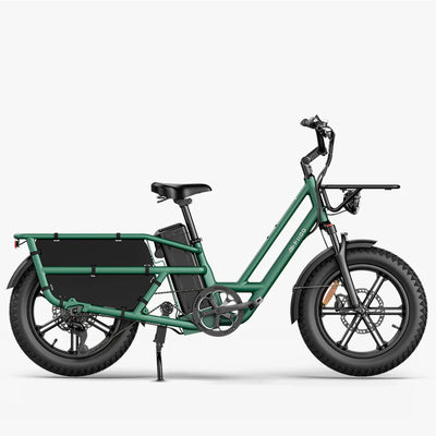 Fiido T2 Longtail Cargo E-Bike - UK