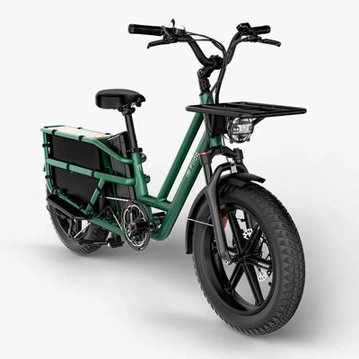 Fiido T2 Longtail Cargo E-Bike - UK