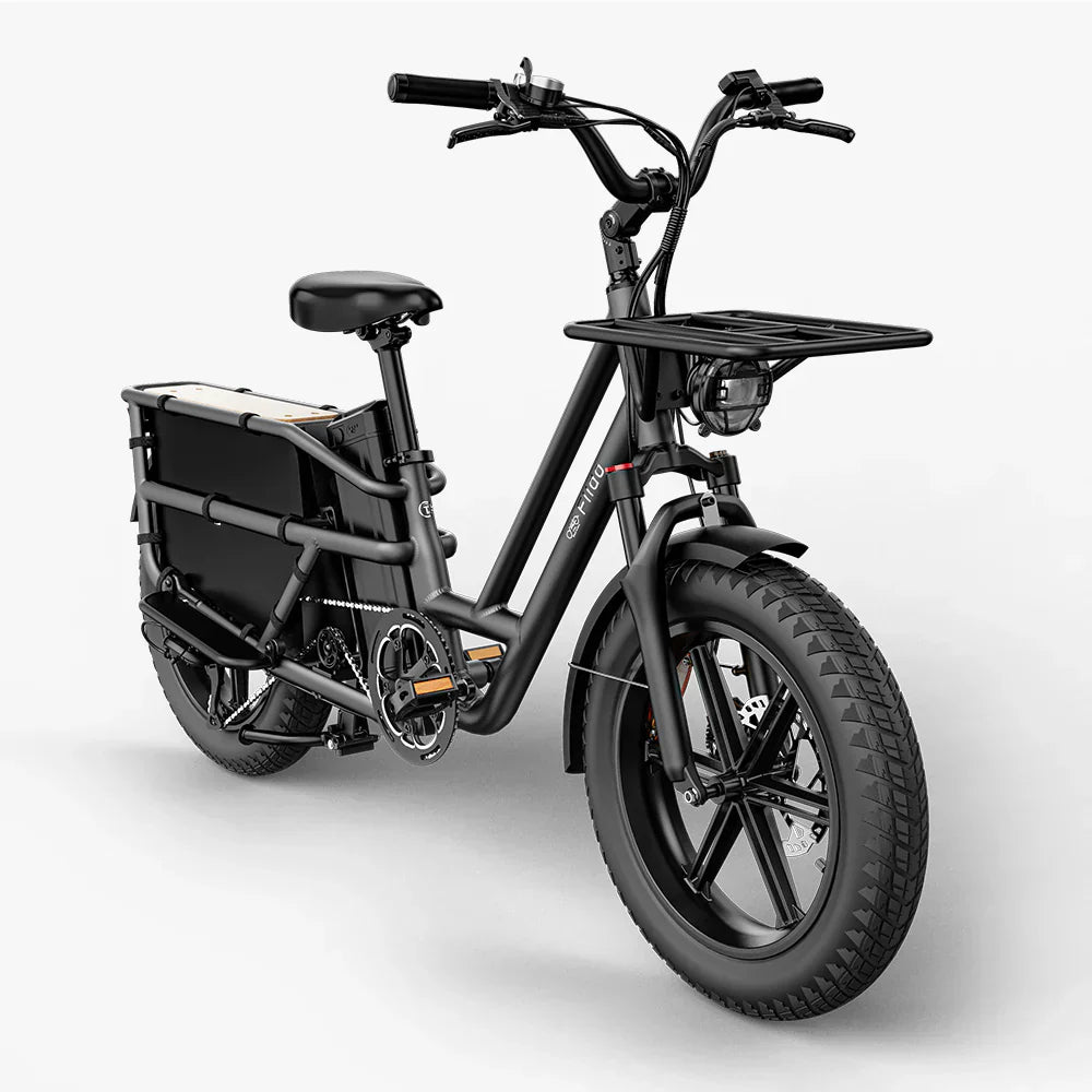 Fiido T2 Longtail Cargo E-Bike - UK